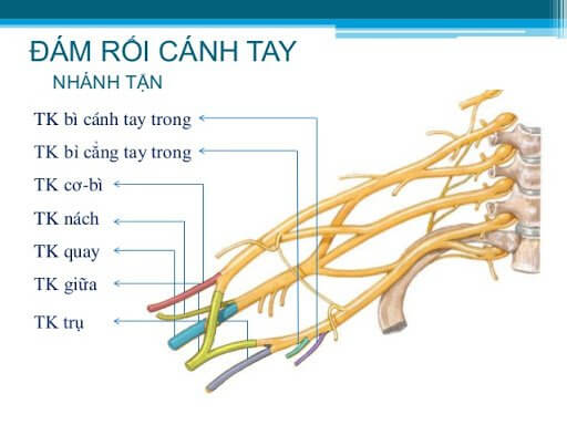 VẬT LÝ TRỊ LIỆU PHỤC HỒI CHỨC NĂNG THIÊN AN