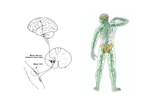 VẬT LÝ TRỊ LIỆU PHỤC HỒI CHỨC NĂNG THIÊN AN