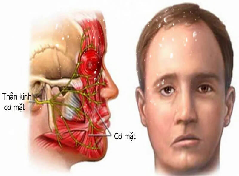VẬT LÝ TRỊ LIỆU PHỤC HỒI CHỨC NĂNG THIÊN AN